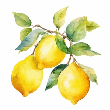 A banner of Watercolor Lemons, , Hand-painted clip art, Botanical, Digital files, lemons on Branches Blossom, clipart images