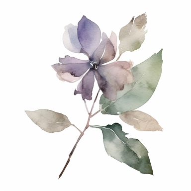 watercolor, a piece of botanical item clipart, faded barely visible color