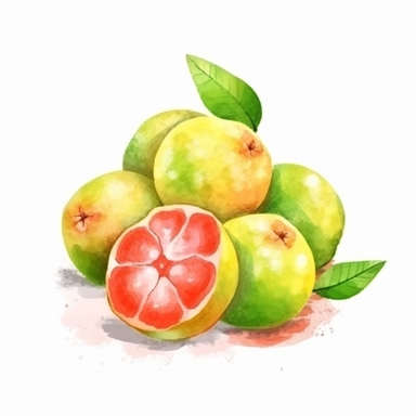 on white background cute and vibrant clipart featuring guava in watercolor style, hyper realistic photo flat color