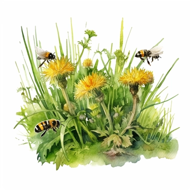 watercolor art of grass tuft with dandelions, bumble bees, mushrooms, in the style of realistic and hyper-detailed renderings, sketchfab, ahmed morsi, realistic watercolor paintings, use of common materials, handcrafted designs clipart yellow and green with background removed