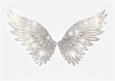 glittery white and silver fairy wings clipart, white background, graphic and symmetrical, creative commons attribution, 4k,