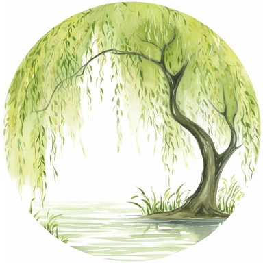 a willow tree clipart graphic enclosed within a light green circle-border that mimics a watercolor brush stroke. The background behind the willow tree should be white with only the border a color