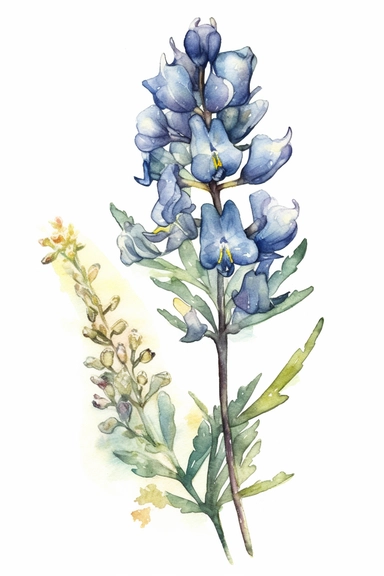 watercolor, Bluebonnet flower, clipart hd, on white background, dreamy, spaced out