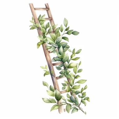foliage ladder , watercolour clipart, white background