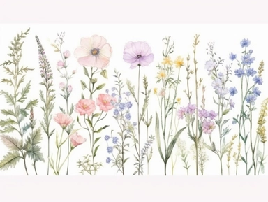Clip art set.Wildflower Rhapsody: Cosmos, Larkspurs, and Bachelor's Buttons. Soft, Gentle, color pallete. perfect for adding a whimsical and romantic touch to invitations, stationery, and more, vector, contour, white background, clipart set, spaced out