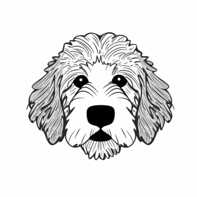 simple black and white drawing of a front facing Labradoodle dog head, clipart, flat 2d vector, minimalist, svg cut file, line art drawing
