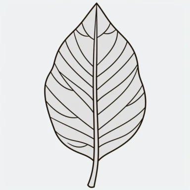 simple leaf clip art, clean blank line art, no gray color