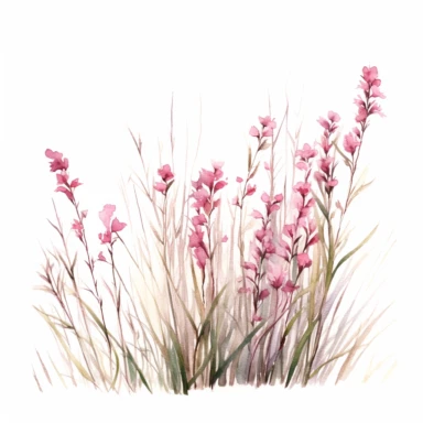 Graceful watercolor depiction of pink flowers gently swaying in a field of wild grass, viewed from a side angle, with the gentle breeze lending a sense of movement, freedom, and the untamed spirit of nature, clipart on a clean white background.