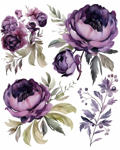 Watercolor Dark Purple Florals, Individual Items, Watercolor Floral Composition, pale green Leaves, Plum Peony Flowers Clipart, PNG, a single flower clipart on pure white background with margins, white background clipart