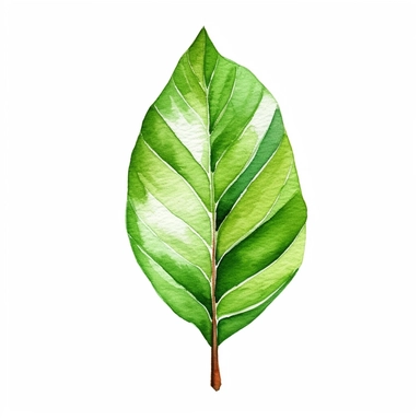 Single Watercolor, pecan shaped leave clipart green, pecan leaves