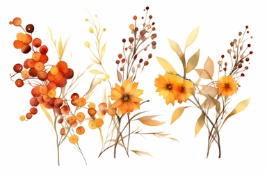 10 watercolour autumn flowers on a vine clipart, earth tones, romantic, hd, white background, spaced out