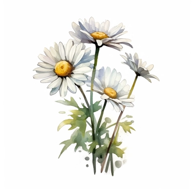 isolated clipart on a white background of a watercolor beautiful flowers Common daisy illustration, in the style of zbrush, storytelling, mashup of styles, in the style of daniel f. gerhartz, transcendent, nikon d850, art of burma, captures the essence of nature, in the style of organic forms and patterns, expansive skies, hyper-detailed illustrations, i can't believe how beautiful this is, lively colors