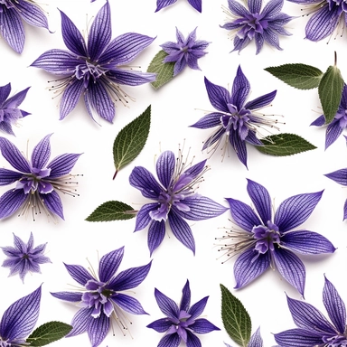 Purple borage flowers as a clipart with white background. A masterfully crafted digital artwork that explores the beauty and intricacy of purple borage flowers. The composition offers a close-up perspective, allowing the viewer to marvel at the delicate details of each petal and the unique patterns they create. Soft lighting highlights the vibrant purple tones, evoking a sense of tranquility and serenity. The artwork exhibits a contemporary realism style with a touch of impressionism, reminiscen