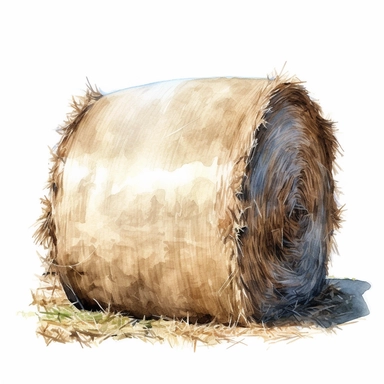 realistic watercolor drawing of a bale of hay on a cotton field, on a white background where the background will be removed to repurpose as a clipart.