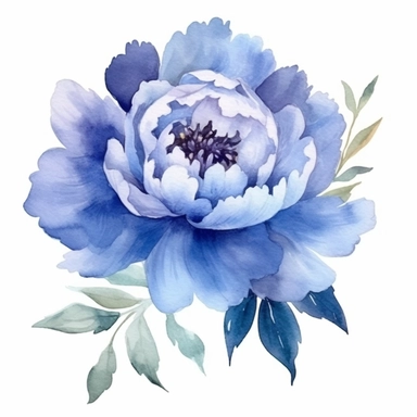 one Blue Peonies png, watercolour peony clipart, peony illustration, floral clipart, watercolour flower clipart, watercolour png, high relotion