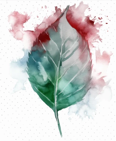 watercolor clipart illustration of a leaf green and grey, in the style of meticulous design, minimalistic serenity, light turquoise and dark white, oil paintings, dark green and light crimson, naturalistic poses, imitated material
