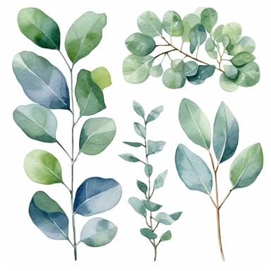 watercolor clipart, eucalyptus, greenery, sprigs, branches, extremely detailed