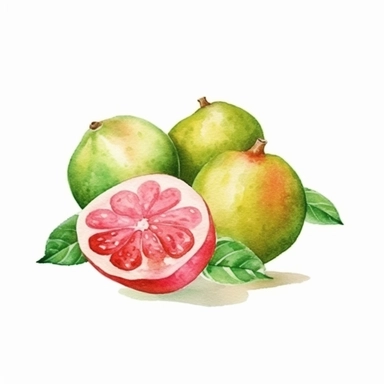 on white background cute and vibrant clipart featuring guava in watercolor style, hyper realistic photo flat color