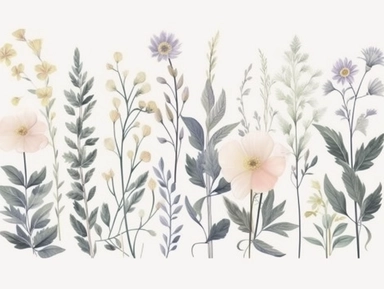 Clip art set.Twilight Garden: Moonflowers, Night-Blooming Jasmine, and Evening Stock. Soft, Gentle, color pallete. perfect for adding a whimsical and romantic touch to invitations, stationery, and more, vector, contour, white background, clipart set, spaced out