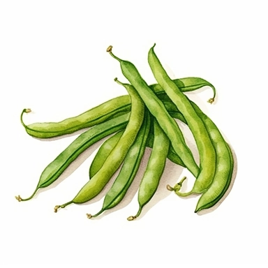 Green beans logo watercolor,simple Watercolor, hyper realistic, white background, white margins, 16k, ultra detailed clipart, cut out image, hand - drawn, whimsical manhwa style, ultra HD, sharp and clean art
