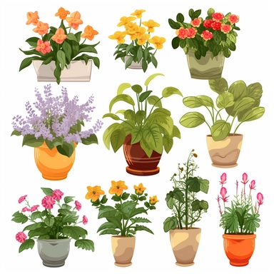 Piante da appartamento Clipart. fiori e piante in vaso clipart, piante d'appartamento all'aperto ,acquarello Clipart floreale PNG. Estate
