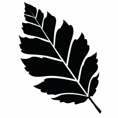 black silhouette leaf clipart