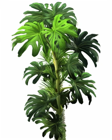 a tall jungle plant, clipart illustration, photorealistic, oil paint, happy, beautiful, vibrant colors, cute, ultra detailed, on white background--no cut off
