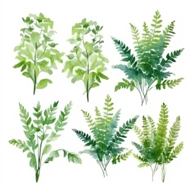 set of cute watercolors Fern Plant for kids book, white backgroun, clipart, clean and crisp