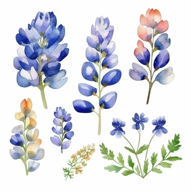 Watercolor Lupine Clipart - floral bluebonnet flowers and bouquets in PNG format instant download for commercial use