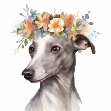 watercolor italian greyhound with a floral crown in the style of watercolor highly detailed clip art