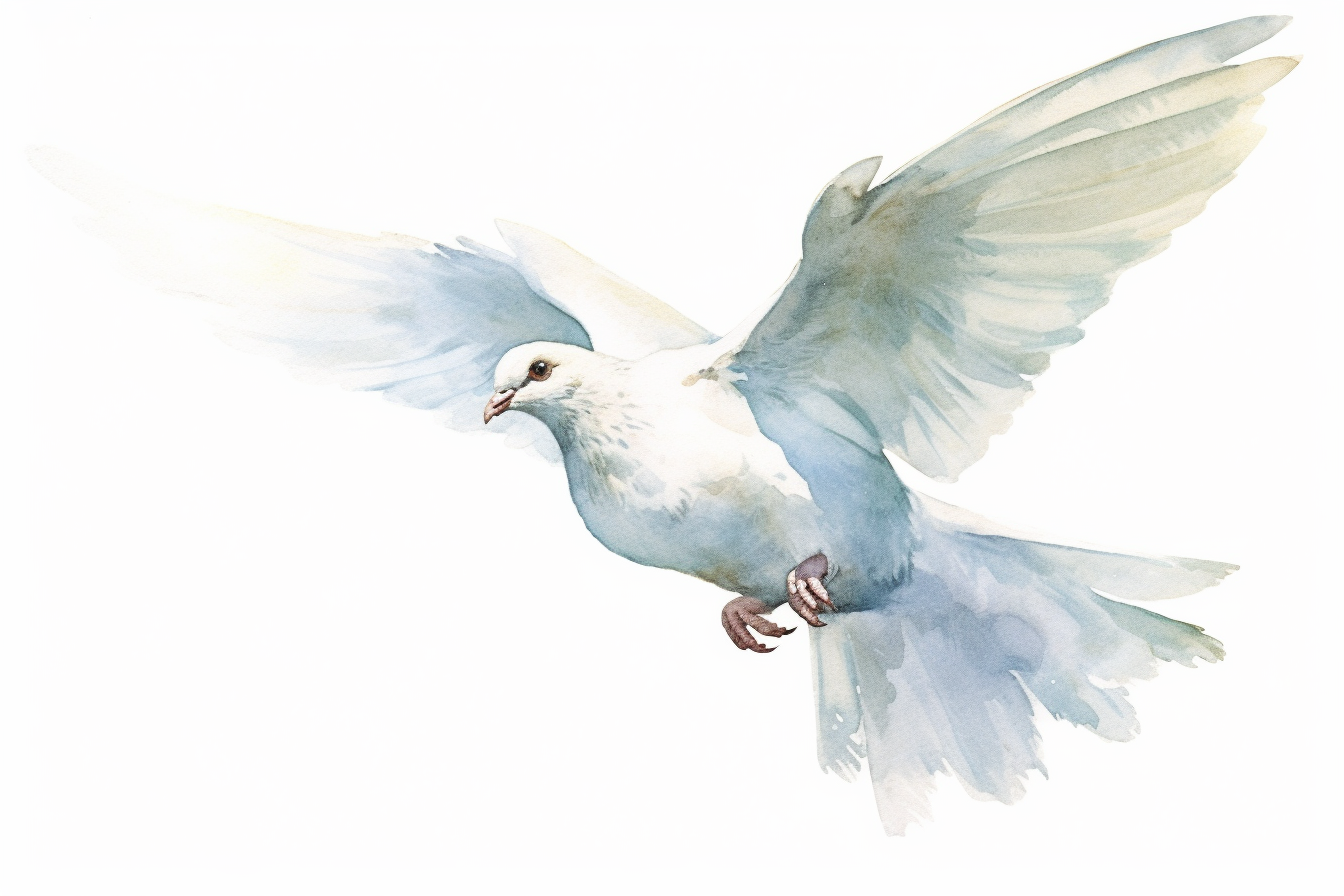 dove clip art