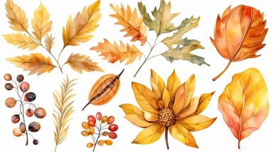 watercolor fall illustration. autumn leaves, sunflower, maple leaf, rowan berries, oak, acorn arragement. thanksgiving clipart