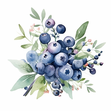 one blueberry bouquet watercolor clipart on a white background, paper crafting, clipart, in the style of pictorial fabrics, celebration of rural life, allover composition, repeating pattern, kitchen still life, opulent fabrics, goosepunk, no watermark, text, 300 DPI , typography, shapes do not stick together, no text in the picture, on a white background