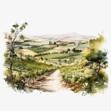 watercolor, hyper realistic, white background with margins, 8k, ultra detailed cut out, vineyards, open land, cut out clipart