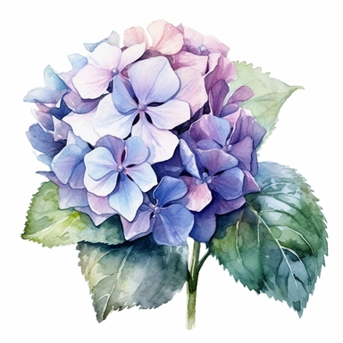 isolated clipart on a white background of a watercolor beautiful flowers Hydrangea illustration, in the style of zbrush, storytelling, mashup of styles, in the style of daniel f. gerhartz, transcendent, nikon d850, art of burma, captures the essence of nature, in the style of organic forms and patterns, expansive skies, hyper-detailed illustrations, i can't believe how beautiful this is, lively colors