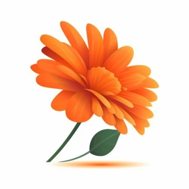 side view flat simple clipart orange flower white background