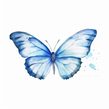 watercolor butterfly blue clip art, white background