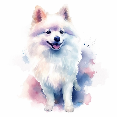 American Eskimo Dog dog, water color style, clipart, white background